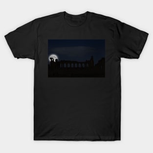 Volubilis by Night. T-Shirt